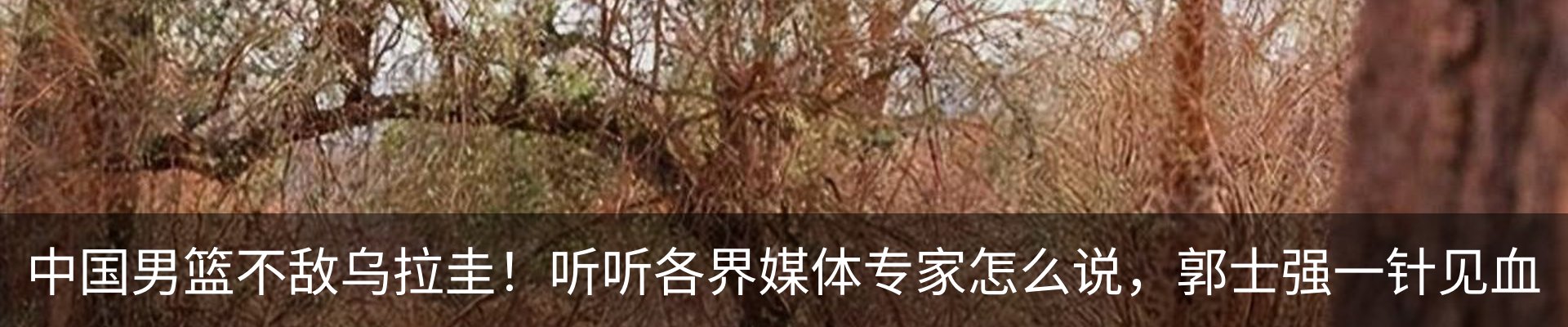 热点资讯