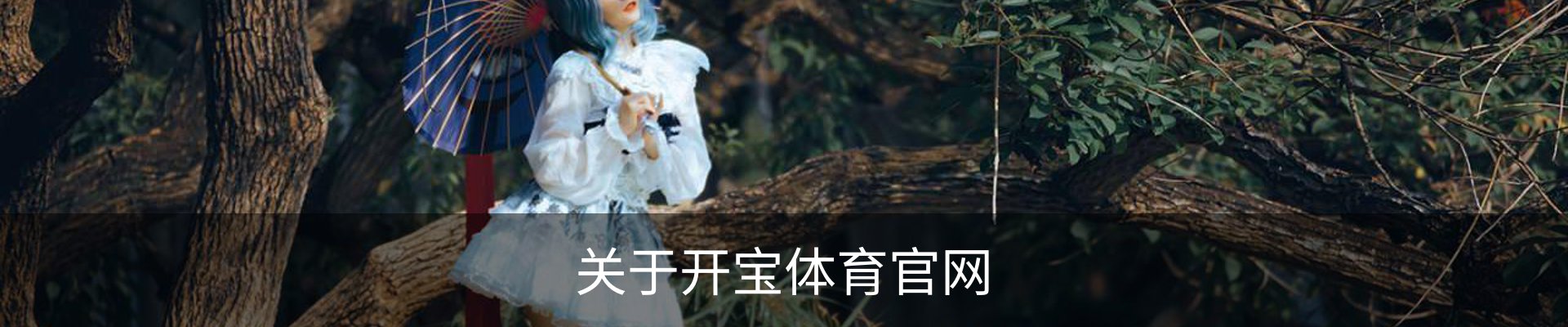 关于开宝体育官网